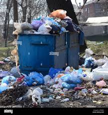 Best Hoarding Cleanup  in Buckhannon, WV