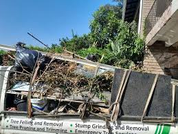 Best Construction Debris Removal  in Buckhannon, WV